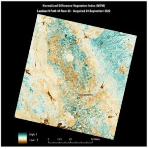 Monitoring and Managing Crop Health: The Role of Satellite Images
